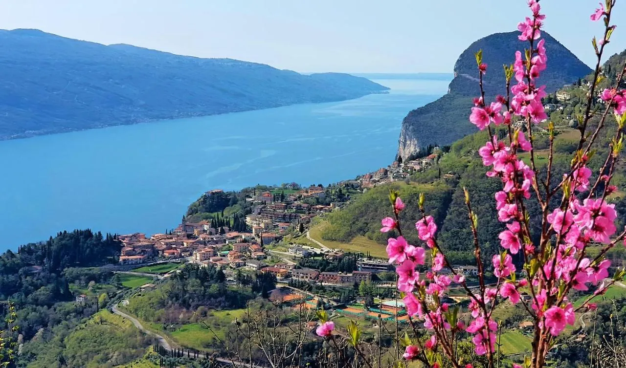 Teresa Campi Apartments Lake View By Gardadomusmea Tremosine 0*,  Italy